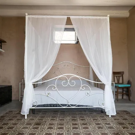 فيلة Petricore Nature ليباري